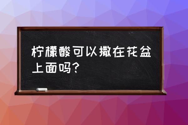 花盆撒什么东西不黄叶不烂根 柠檬酸可以撒在花盆上面吗? 花盆撒什么东西不黄叶不烂根 柠檬酸可以撒在花盆上面吗?