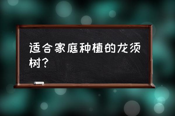 龙须树一般要浇多少水 适合家庭种植的龙须树? 龙须树一般要浇多少水 适合家庭种植的龙须树?