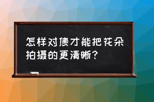 怎么拍好看又漂亮的花照 怎样对焦才能把花朵拍摄的更清晰? 怎么拍好看又漂亮的花照 怎样对焦才能把花朵拍摄的更清晰?