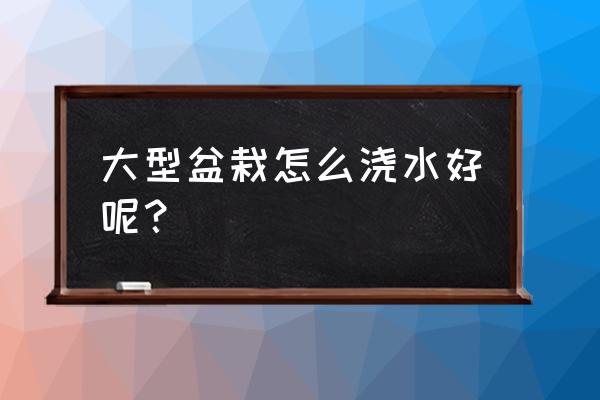 花盆种花浇水的正确方法 大型盆栽怎么浇水好呢? 花盆种花浇水的正确方法 大型盆栽怎么浇水好呢?
