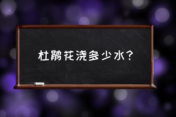 杜鹃花浇水的正确方法和注意事项 杜鹃花浇多少水? 杜鹃花浇水的正确方法和注意事项 杜鹃花浇多少水?
