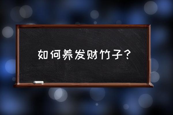 富贵竹怎么养才会好 如何养发财竹子? 富贵竹怎么养才会好 如何养发财竹子?